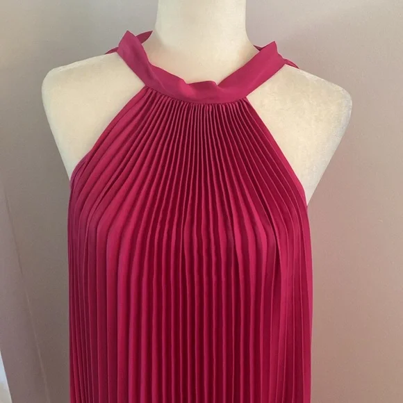 Banana Republic NWT raspberry pleated dress - Picture 3 of 11
